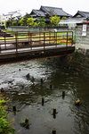 DSC00758