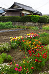 DSC00800