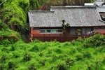 DSC00868