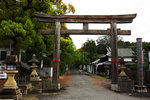 DSC00894