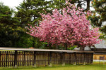 DSC01211