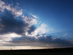 P1390949