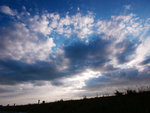 P1390952