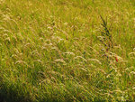 P7050182