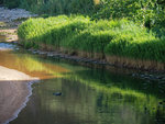 P7090023