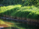 P7090026