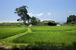 DSC00059