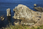 DSC07402