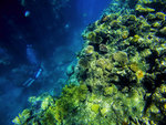 GOPR0364