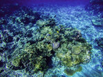 GOPR0783