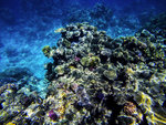 GOPR0891
