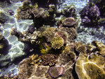 GOPR0913