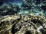 GOPR0930