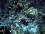 GOPR1062