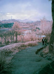 DSC03951