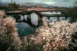 DSC04019