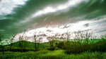 DSC04091