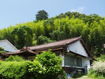 P1590192