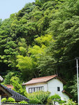 P1590207