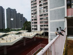 P1630659