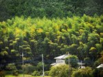 P1640263