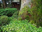 P1640447