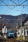 DSC01547