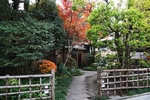 DSC02534