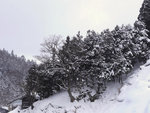 P1660654