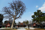 DSC00272