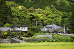 DSC06495