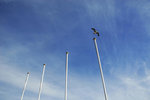 _SCN9967