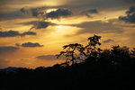 DSC00031