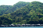 DSC00268