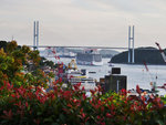 P1099932