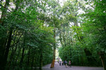 DSC00005