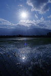 DSCF0539