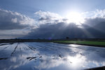 DSCF0566