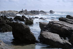 DSCF0633