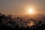 DSCF0939