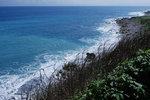 DSCF0971