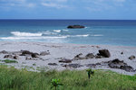 DSCF1095