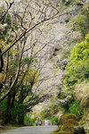 DSC00049