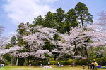 DSC00216