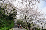 DSC00246