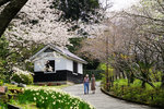 DSC00256