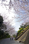 DSC00352