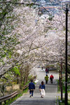 DSC00368