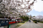 DSC00387