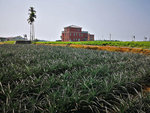 IMG_20190512_092128